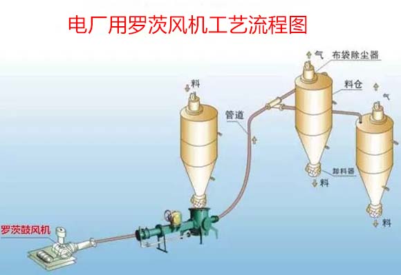 电厂用罗茨鼓草莓视频在线播放案例