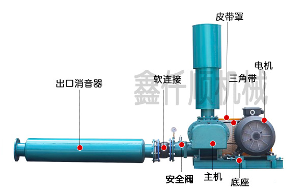 罗茨草莓视频在线播放安装图