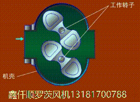 三叶罗茨鼓草莓视频在线播放工作原理gif动画