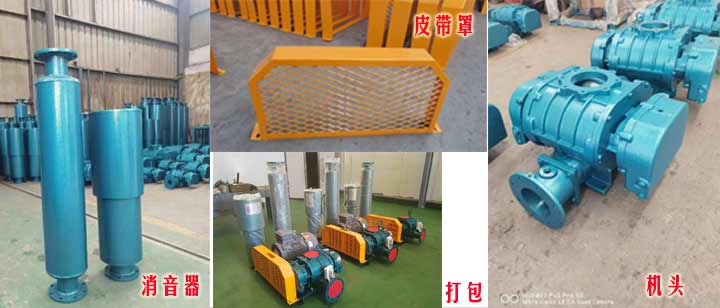 三叶罗茨草莓视频在线播放（皮带型）实拍
