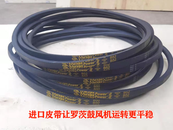 罗茨鼓草莓视频在线播放皮带温度过热的原因