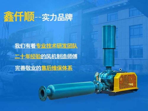 罗茨草莓视频在线播放怎么配电机？传动方式和功率怎么选？(图1)