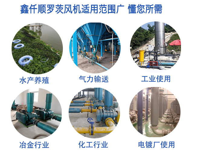 高压罗茨鼓草莓视频在线播放