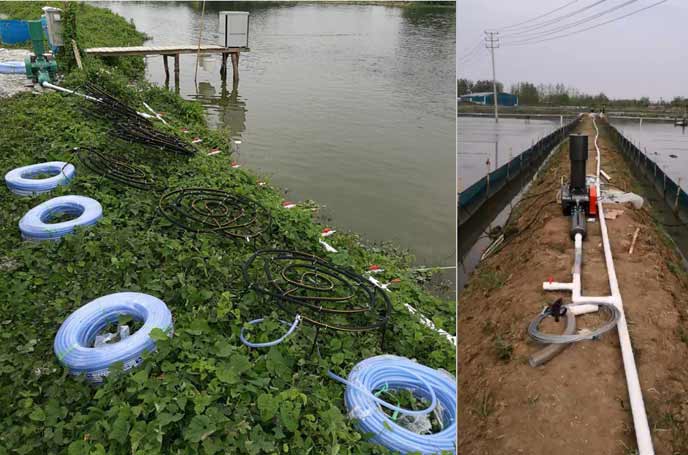 水产养殖中罗茨鼓草莓视频在线播放曝氧气作用效果明显好