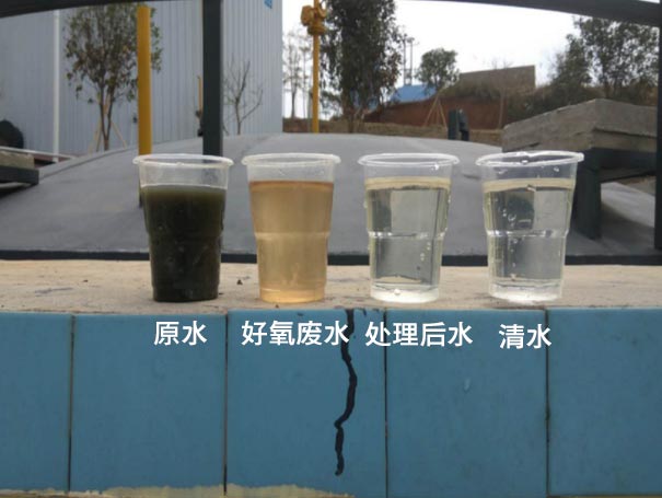 污水曝气罗茨鼓草莓视频在线播放应用案例