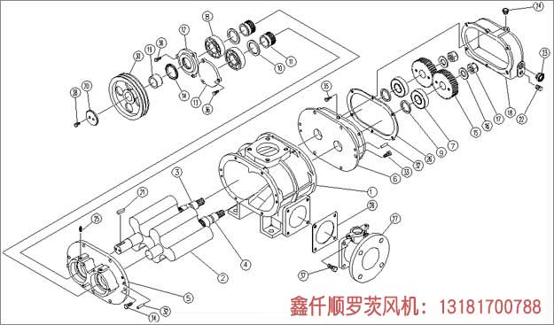 罗茨草莓视频在线播放工作组成部件