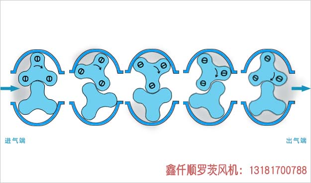 罗茨草莓视频在线播放工作原理